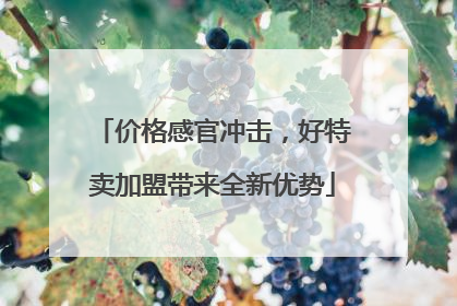 价格感官冲击，好特卖加盟带来全新优势