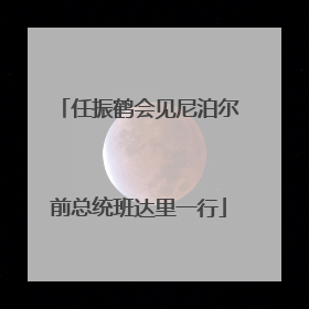 任振鹤会见尼泊尔前总统班达里一行