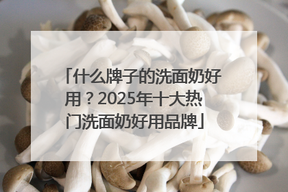 什么牌子的洗面奶好用？2025年十大热门洗面奶好用品牌