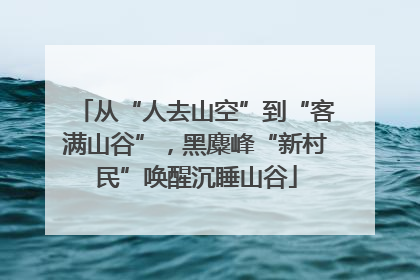 从“人去山空”到“客满山谷”，黑麋峰“新村民”唤醒沉睡山谷