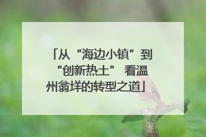 从“海边小镇”到“创新热土” 看温州翁垟的转型之道