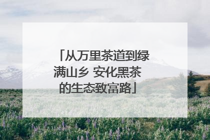 从万里茶道到绿满山乡 安化黑茶的生态致富路