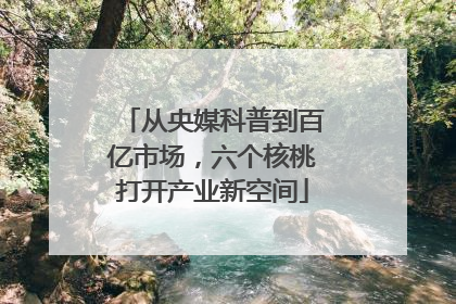 从央媒科普到百亿市场，六个核桃打开产业新空间