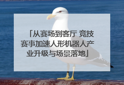 从赛场到客厅 竞技赛事加速人形机器人产业升级与场景落地