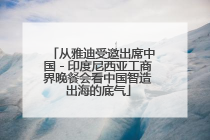 从雅迪受邀出席中国－印度尼西亚工商界晚餐会看中国智造出海的底气