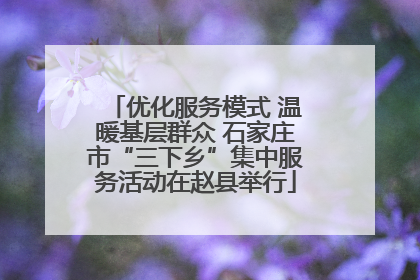优化服务模式 温暖基层群众 石家庄市“三下乡”集中服务活动在赵县举行