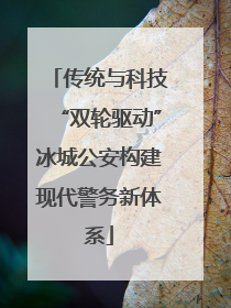 传统与科技“双轮驱动”冰城公安构建现代警务新体系
