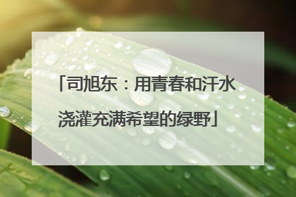 司旭东：用青春和汗水浇灌充满希望的绿野