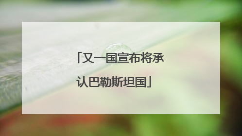 又一国宣布将承认巴勒斯坦国