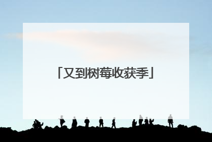 又到树莓收获季