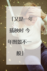 又是一年插秧时 今年图景不一般