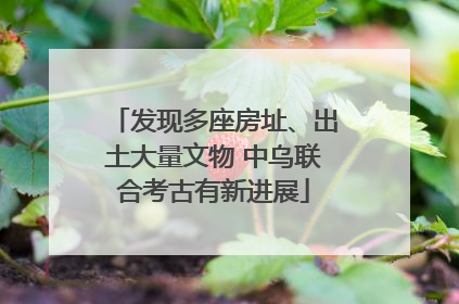 发现多座房址、出土大量文物 中乌联合考古有新进展