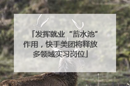 发挥就业“蓄水池”作用，快手美团将释放多领域实习岗位