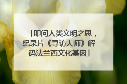 叩问人类文明之思，纪录片《寻访大师》解码法兰西文化基因