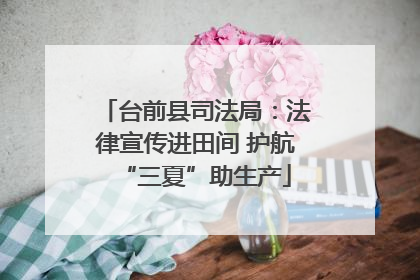 台前县司法局：法律宣传进田间 护航“三夏”助生产