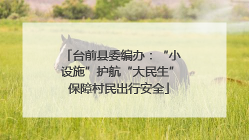 台前县委编办：“小设施”护航“大民生” 保障村民出行安全