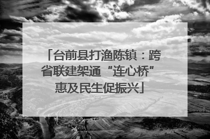台前县打渔陈镇：跨省联建架通“连心桥” 惠及民生促振兴