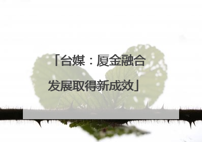 台媒：厦金融合发展取得新成效