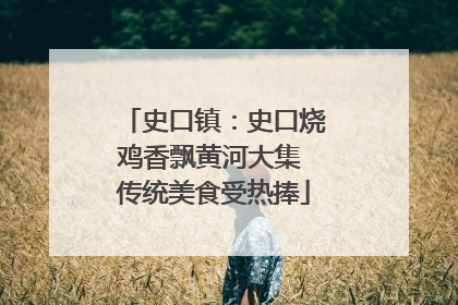 史口镇：史口烧鸡香飘黄河大集 传统美食受热捧
