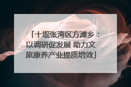 十堰张湾区方滩乡：以调研促发展 助力文旅康养产业提质增效