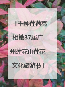 千种莲荷亮相第37届广州莲花山莲花文化旅游节