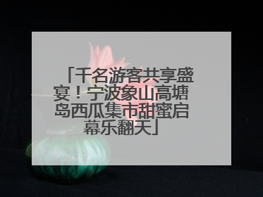千名游客共享盛宴！宁波象山高塘岛西瓜集市甜蜜启幕乐翻天