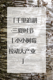 千里追耕·三夏时节丨小小树莓拉动大产业