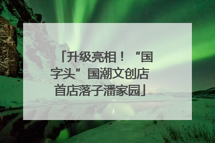 升级亮相！“国字头”国潮文创店首店落子潘家园