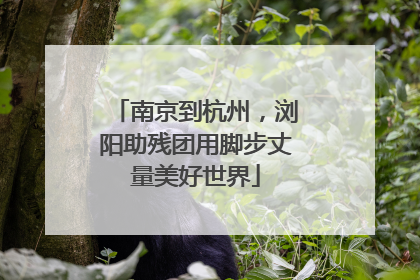 南京到杭州，浏阳助残团用脚步丈量美好世界