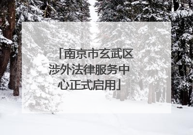 南京市玄武区涉外法律服务中心正式启用