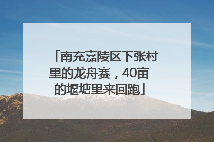 南充嘉陵区下张村里的龙舟赛，40亩的堰塘里来回跑