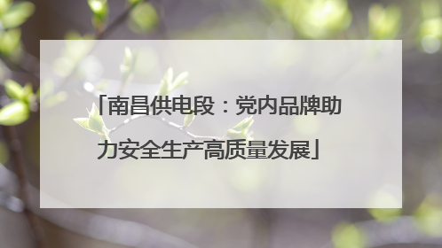 南昌供电段：党内品牌助力安全生产高质量发展