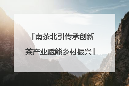 南茶北引传承创新 茶产业赋能乡村振兴
