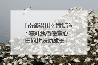 南通崇川幸福街道：粽叶飘香暖童心 田间耕耘助成长