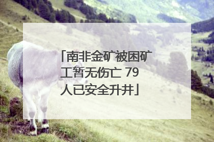 南非金矿被困矿工暂无伤亡 79人已安全升井