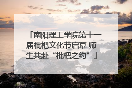 南阳理工学院第十一届枇杷文化节启幕 师生共赴“枇杷之约”