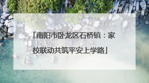 南阳市卧龙区石桥镇：家校联动共筑平安上学路
