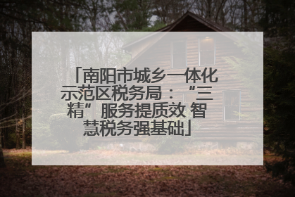 南阳市城乡一体化示范区税务局：“三精”服务提质效 智慧税务强基础
