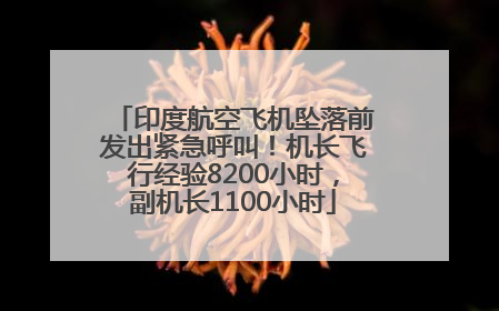 印度航空飞机坠落前发出紧急呼叫！机长飞行经验8200小时，副机长1100小时