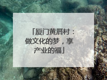 厦门黄厝村：做文化的梦，享产业的福