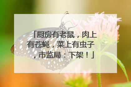 厨房有老鼠，肉上有苍蝇，菜上有虫子，市监局：下架！