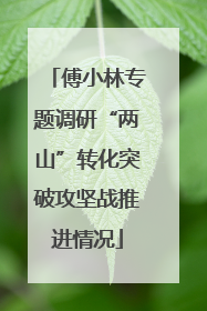 傅小林专题调研“两山”转化突破攻坚战推进情况