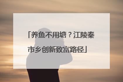 养鱼不用塘？江陵秦市乡创新致富路径