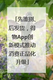 先鉴别、后发货，得物App创新模式推动消费正品化升级
