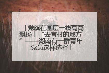 党旗在基层一线高高飘扬丨“去有村的地方”——湖南有一群青年党员这样选择
