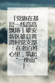 党旗在基层一线高高飘扬丨雄安新区雄县黄湾村党支部：在老百姓心里，筑起“一座山”