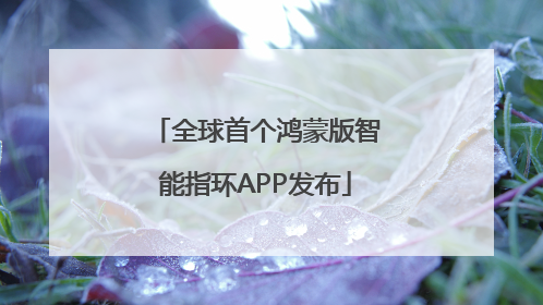 全球首个鸿蒙版智能指环APP发布