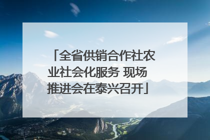 全省供销合作社农业社会化服务 现场推进会在泰兴召开