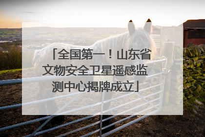 全国第一！山东省文物安全卫星遥感监测中心揭牌成立