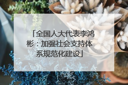 全国人大代表李鸿彬：加强社会支持体系规范化建设